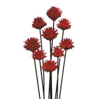 View 20" Red Plumosum Heads (9 Pack)