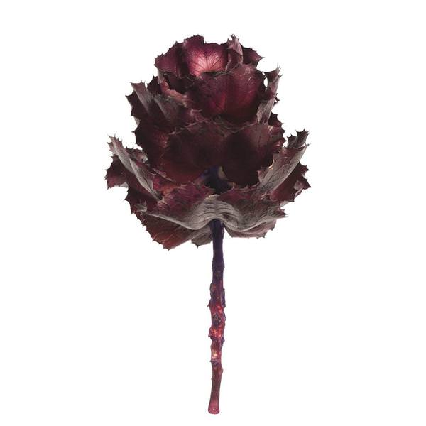6"-7" Violet Preserved Queen Flower