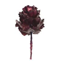View 6"-7" Violet Preserved Queen Flower