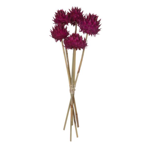 15"-17" Raspberry Dried Artichoke (9 stems in a bundle)