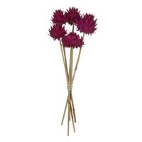 View 15"-17" Raspberry Dried Artichoke (9 stems in a bundle)