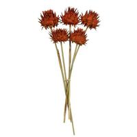 Vickerman 15"-17" Autumn Dried Artichoke (9 stems in a bundle)
