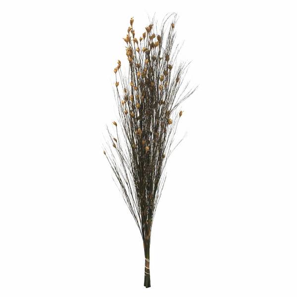 36"-40" 16oz Natural Preserved Bell Grass with Seed Pods Bundle (2 8oz bundles)