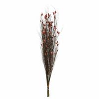 Vickerman 36"-40" 16oz Red Preserved Bell Grass with Seed Pods Bundle (2 8oz bundles)