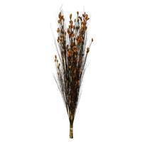Vickerman 36"-40" 16oz Aspen Gold Preserved Bell Grass with Seed Pods Bundle (2 8oz bundles)