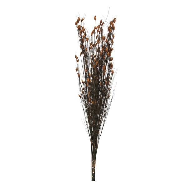 36"-40" 8-9oz Autumn Preserved Bell Grass with Seed Pods Bundle