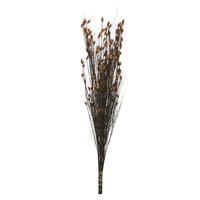 Vickerman 36"-40" 8-9oz Autumn Preserved Bell Grass with Seed Pods Bundle