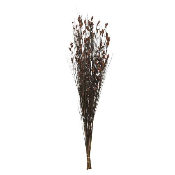 36"-40" 8-9oz Brown Preserved Bell Grass with Seed Pods Bundle