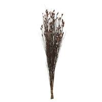 View 36"-40" 8-9oz Brown Preserved Bell Grass with Seed Pods Bundle