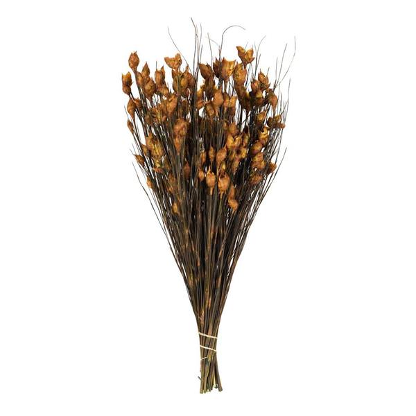 15"-20" 10oz Aspen Gold Preserved Bell Grass with Seed Pods Bundle (2 5oz bundles)