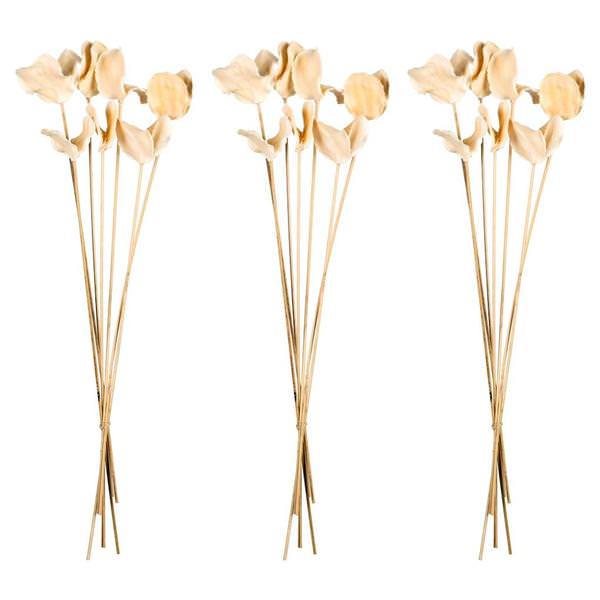 15"-17" Bleached Preserved Jacaranda Pod Stems (3 pack)