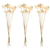 View 15"-17" Bleached Preserved Jacaranda Pod Stems (3 pack)