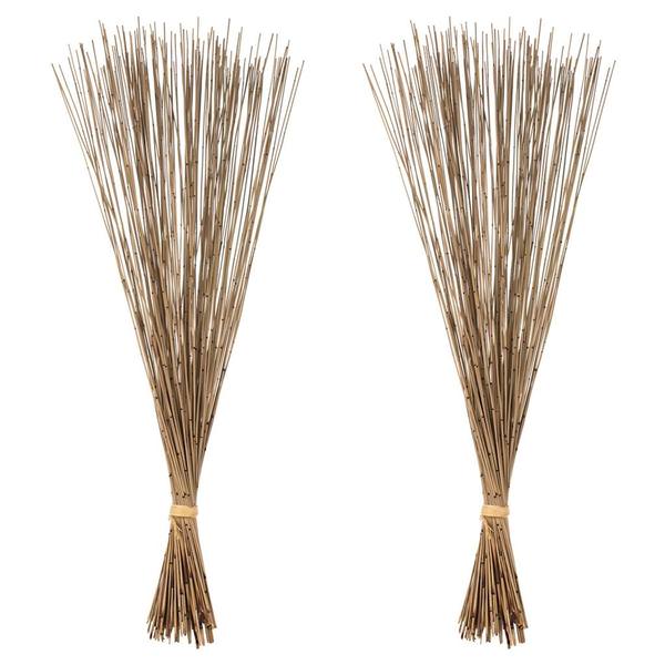 30" 20oz Natural Preserved Marsh Reed Bundle (2 10oz bundles)