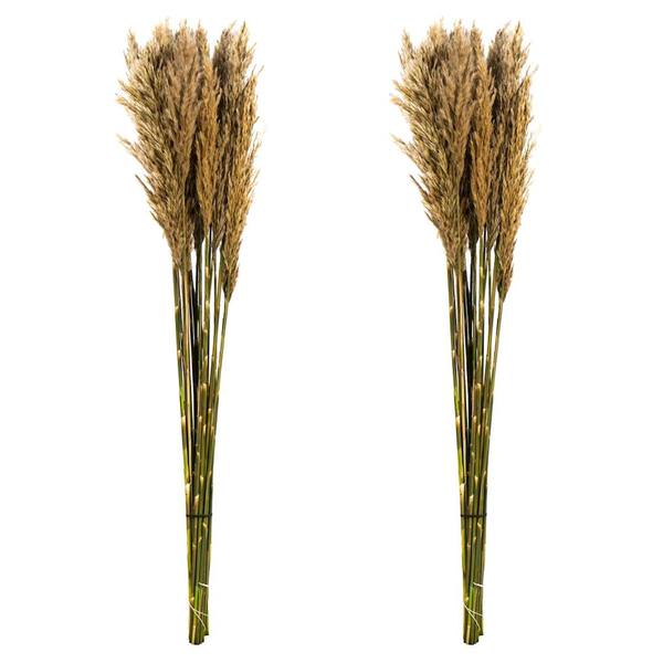 36"-40" 14oz Ivory Preserved Plume Reed Bundle (2 pack)