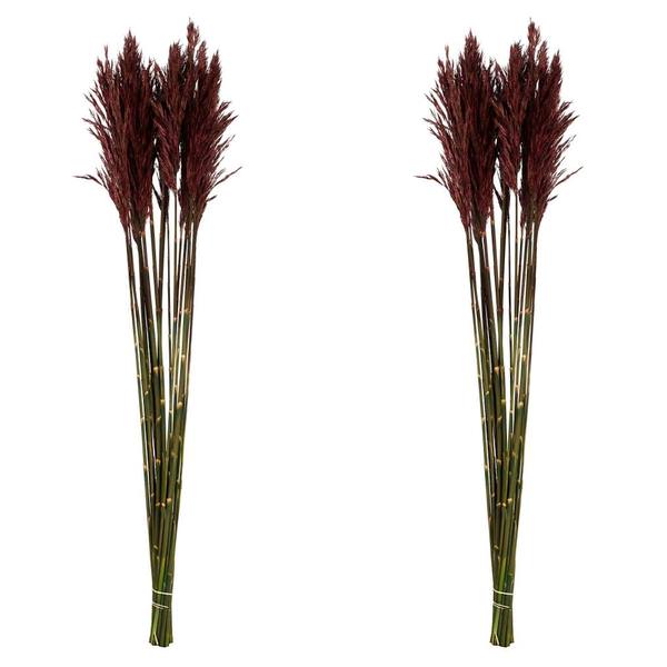 36"-40" 14oz Merlot Preserved Plume Reed Bundle (2 pack)