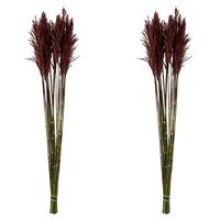 Vickerman 36"-40" 14oz Merlot Preserved Plume Reed Bundle (2 pack)