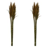 Vickerman 36"-40" 14oz Aspen Gold Preserved Plume Reed Bundle (2 pack)