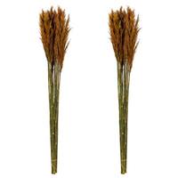Vickerman 36"-40" 14oz Autumn Preserved Plume Reed Bundle (2 pack)