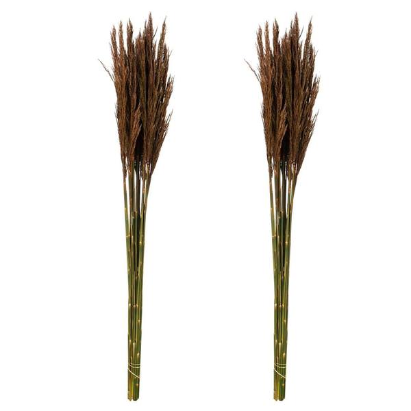 36"-40" 14oz Brown Preserved Plume Reed Bundle (2 pack)
