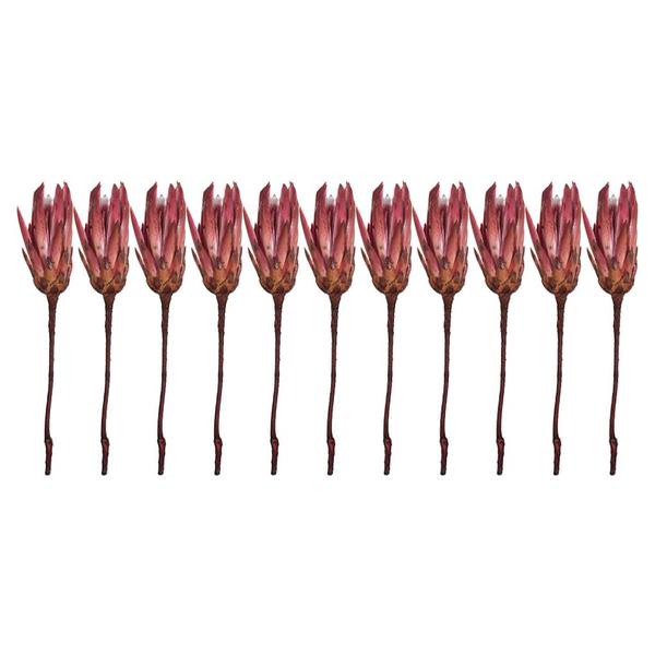 14" Erica Pink Preserved Repens (11 stems)