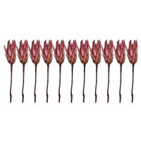 Vickerman 14" Erica Pink Preserved Repens (11 stems)