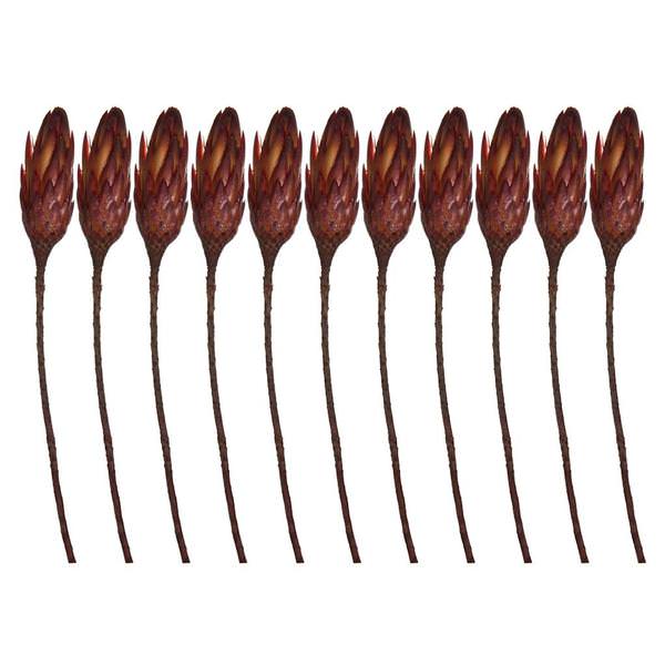 14" Red Orange Preserved Repens (11 stems)
