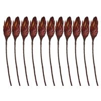 Vickerman 14" Red Orange Preserved Repens (11 stems)