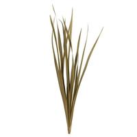 Vickerman 18"-30" Natural Dried Snake Grass Stems (36 stems)