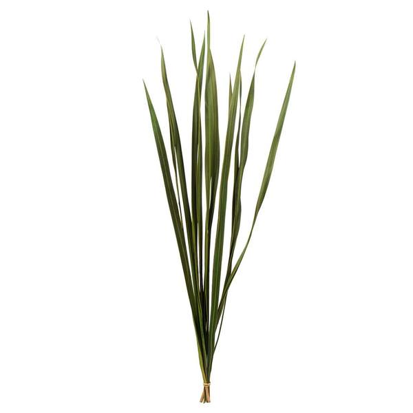 18"-30" Basil Dried Snake Grass Stems (36 stems)
