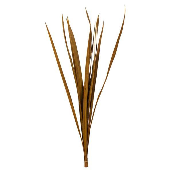 18"-30" Aspen Gold Dried Snake Grass Stems (36 stems)