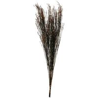 Vickerman 36"-40" 16oz Green Dried Star Grass Bundle (2 8oz bundles)