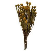 Vickerman 12"-18" 10oz Aspen Gold Preserved Tortum Bundle (2 5oz bundles)