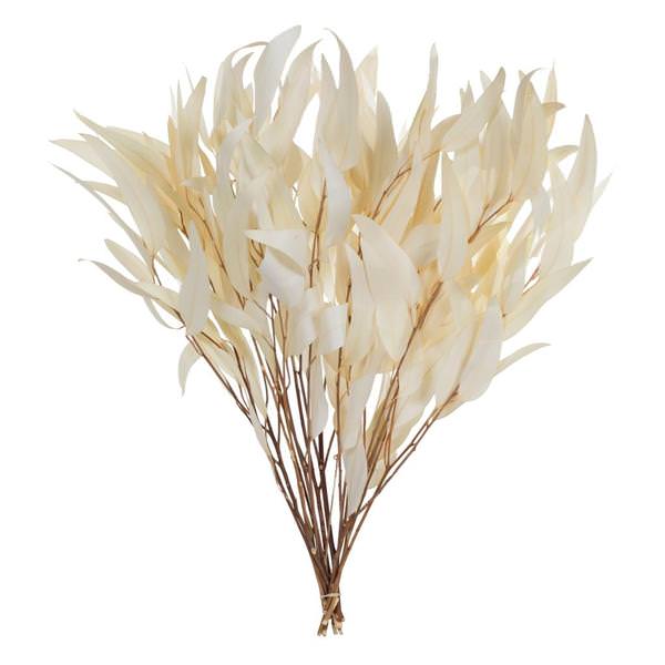 18"-20" 7oz Bleached Preserved Weeping Willow Eucalyptus (2 3.5oz bundles)