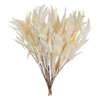 Vickerman 18"-20" 7oz Bleached Preserved Weeping Willow Eucalyptus (2 3.5oz bundles)