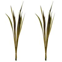 Vickerman 36"-40" Basil Dried Bahia Spears (18 stems)