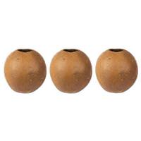 Vickerman 6"-7" Natural Preserved Bacacuia Gourd (3 pack)