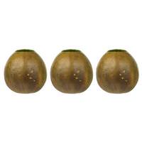 Vickerman 6"-7" Basil Preserved Bacacuia Gourd (3 pack)
