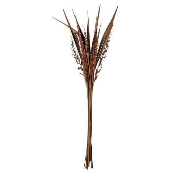 36"-40" Natural Dried Bahia Spears with Seeds (18 stems)