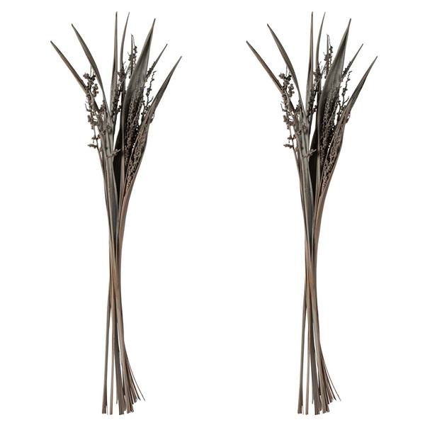 36"-40" Grey Wash Dried Bahia Spears with Seeds (18 stems)