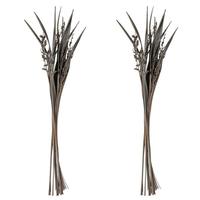 Vickerman 36"-40" Grey Wash Dried Bahia Spears with Seeds (18 stems)