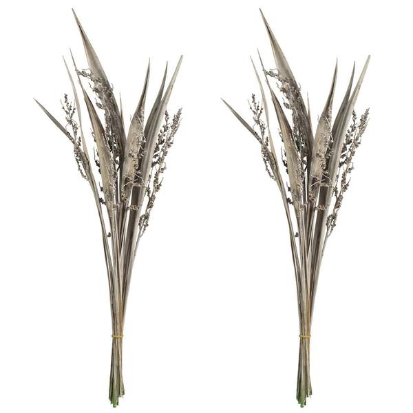 36"-40" White Wash Dried Bahia Spears with Seeds (18 stems)