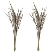 Vickerman 36"-40" White Wash Dried Bahia Spears with Seeds (18 stems)