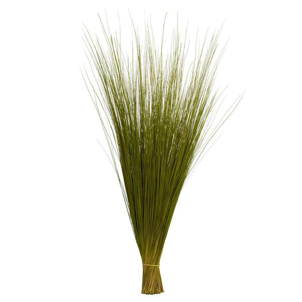 35"-40" 8oz Basil Dried Bright Grass Bundle