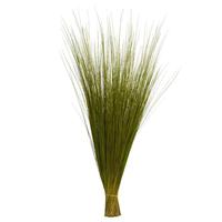 View 35"-40" 8oz Basil Dried Bright Grass Bundle