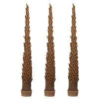 Vickerman 14"-24" Natural Preserved Caba Spindle (3 pack)