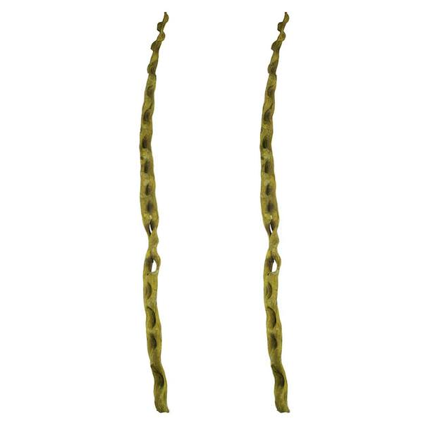 36"-40" Basil Dried Cipo Escada (2 pack)