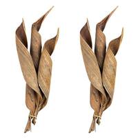 Vickerman 16"-20" Natural Preserved Coco Paddles (6 pieces)