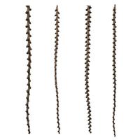 Vickerman 40"-48" Natural Preserved Ladder Branches (7 branches)