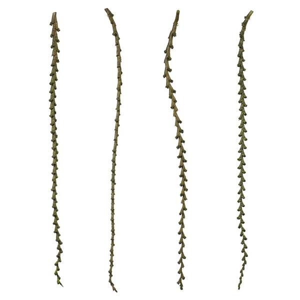 40"-48" Basil Preserved Ladder Branches (7 branches)