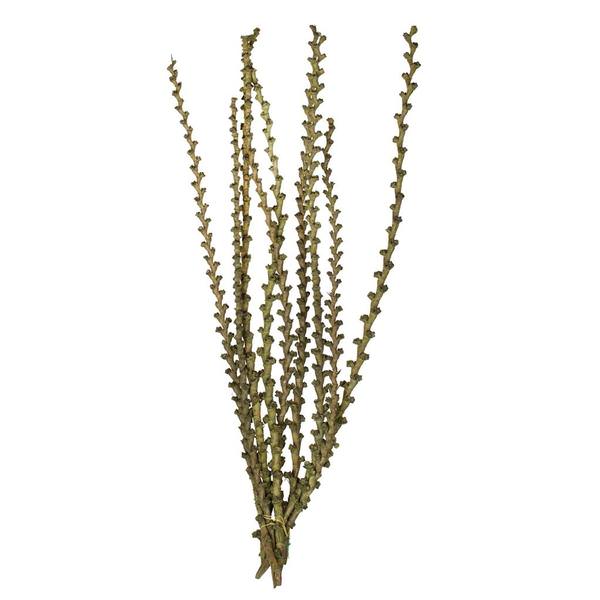 40"-48" Green Preserved Ladder Branches (9 branches)